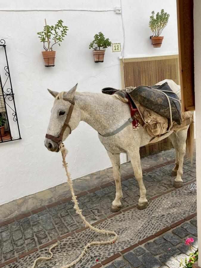 Casa Rural Villa Sila Benalauria Bagian luar foto