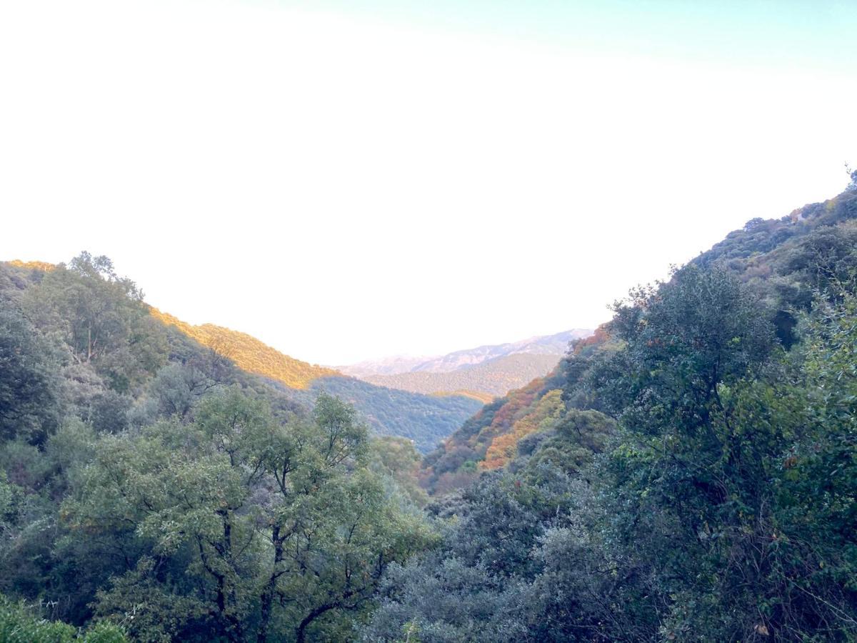 Casa Rural Villa Sila Benalauria Bagian luar foto